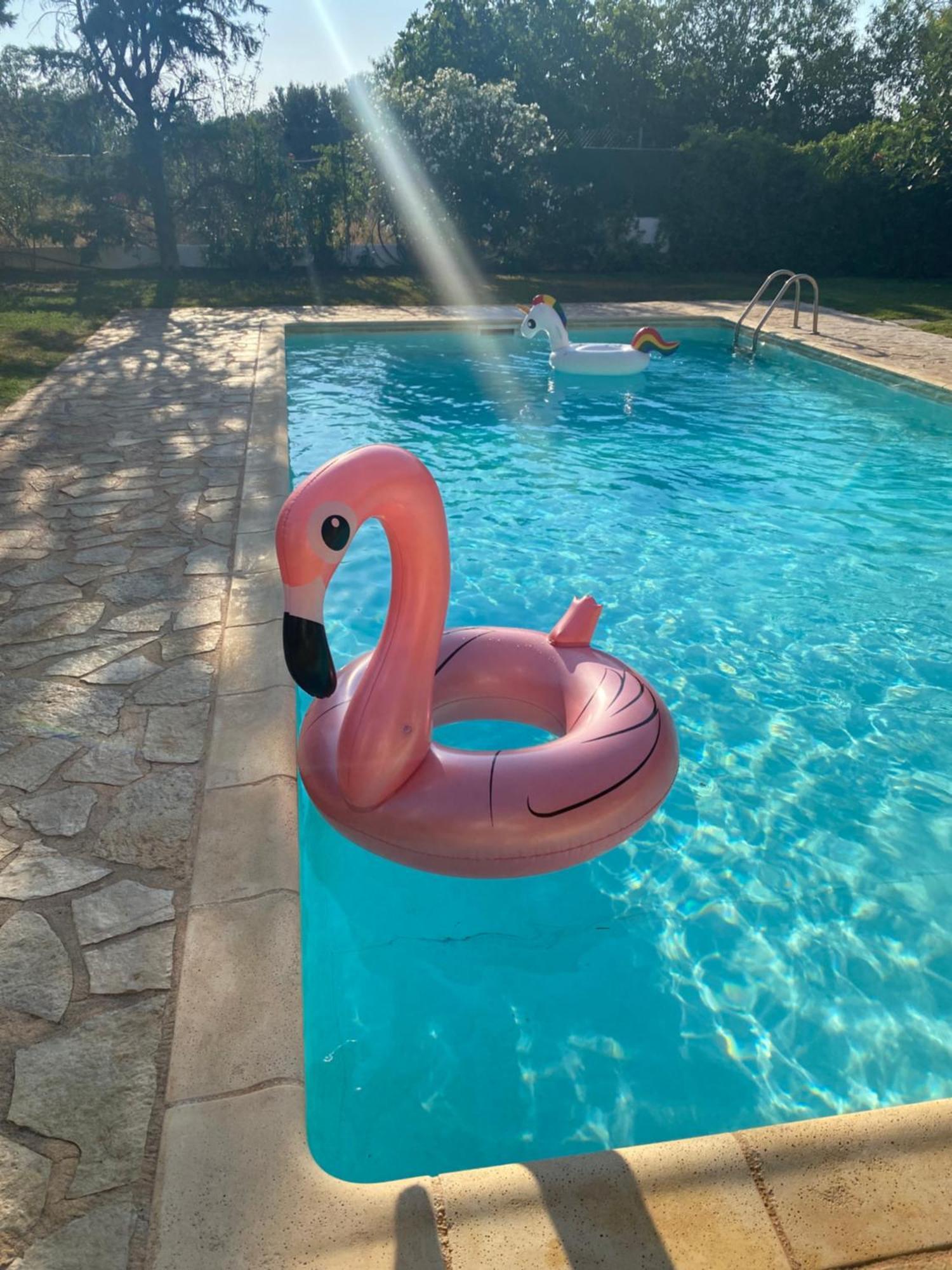 Relaxing Villa With Swimming Pool And Garden Agios Georgios  Exterior photo