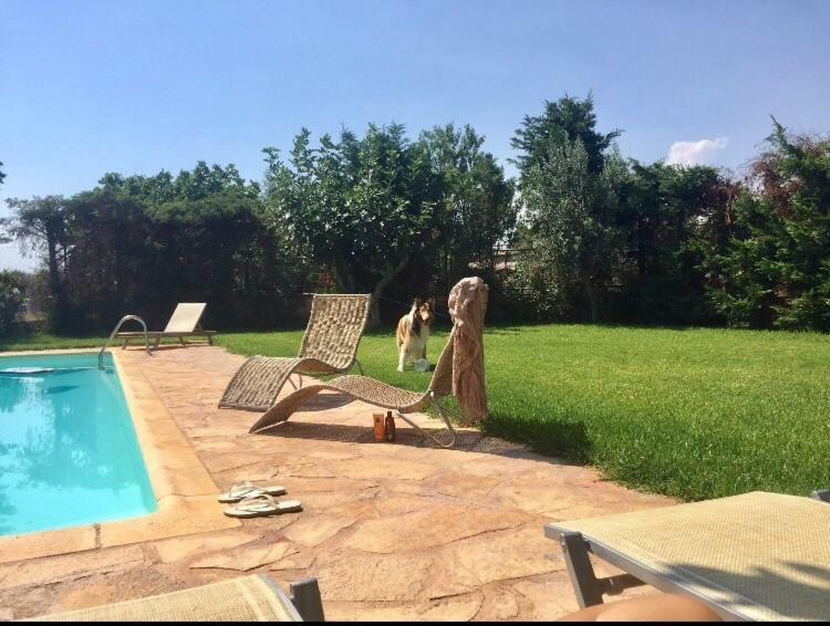 Relaxing Villa With Swimming Pool And Garden Agios Georgios  Exterior photo